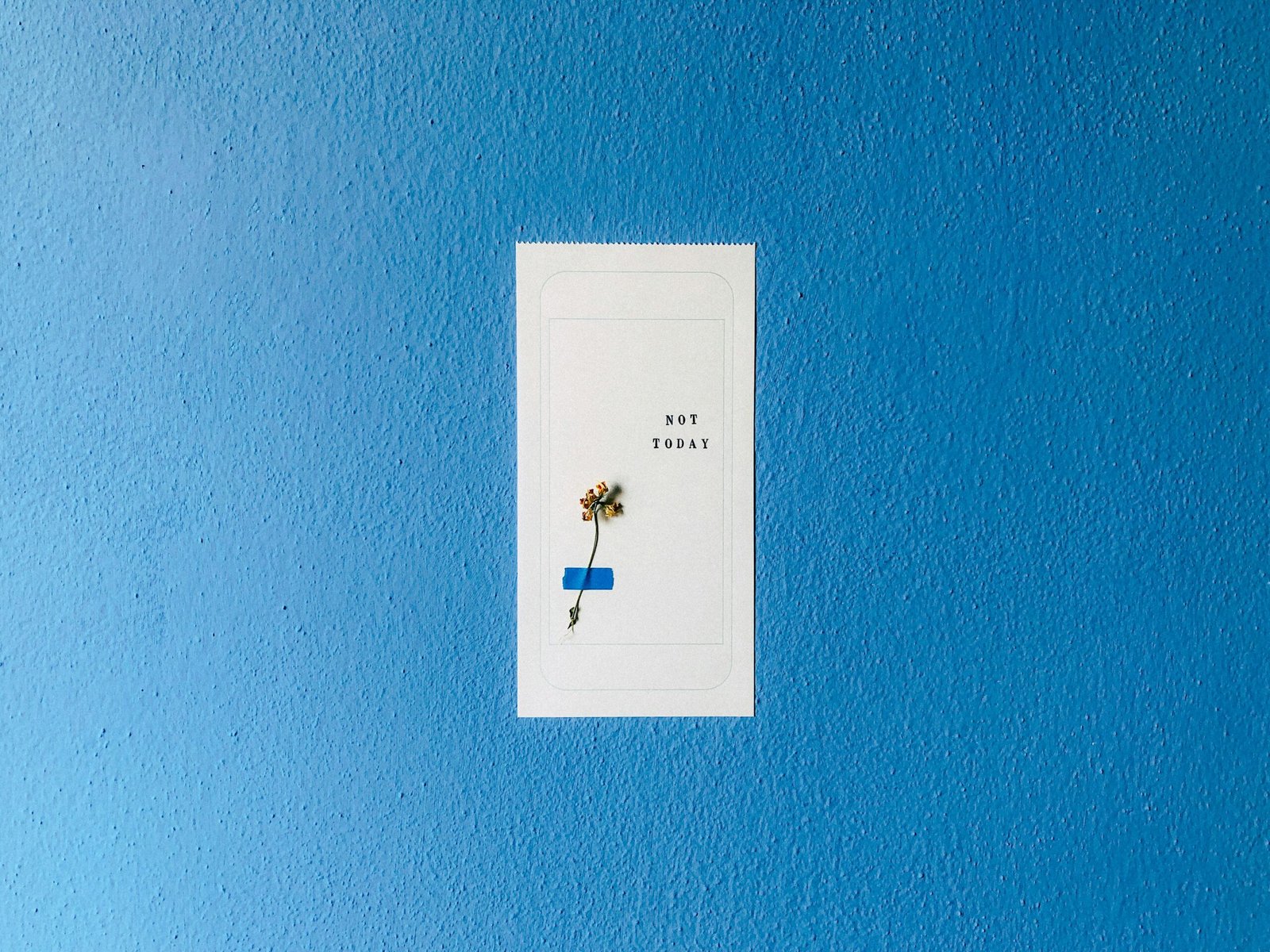 white and blue floral card