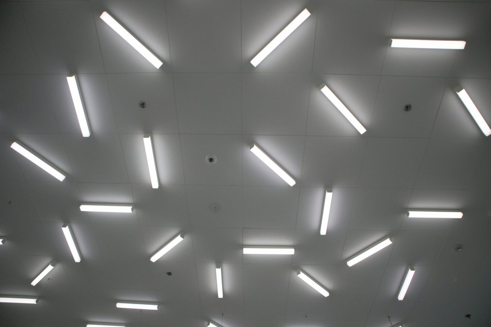 a ceiling with many lights