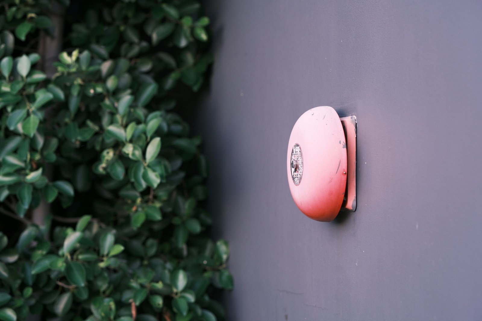 a red and white balloon