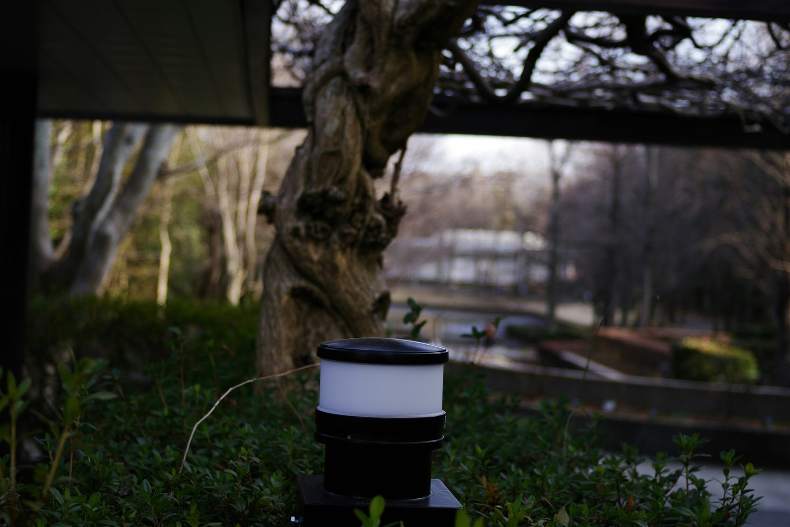 A glowing light stands in front of some trees.