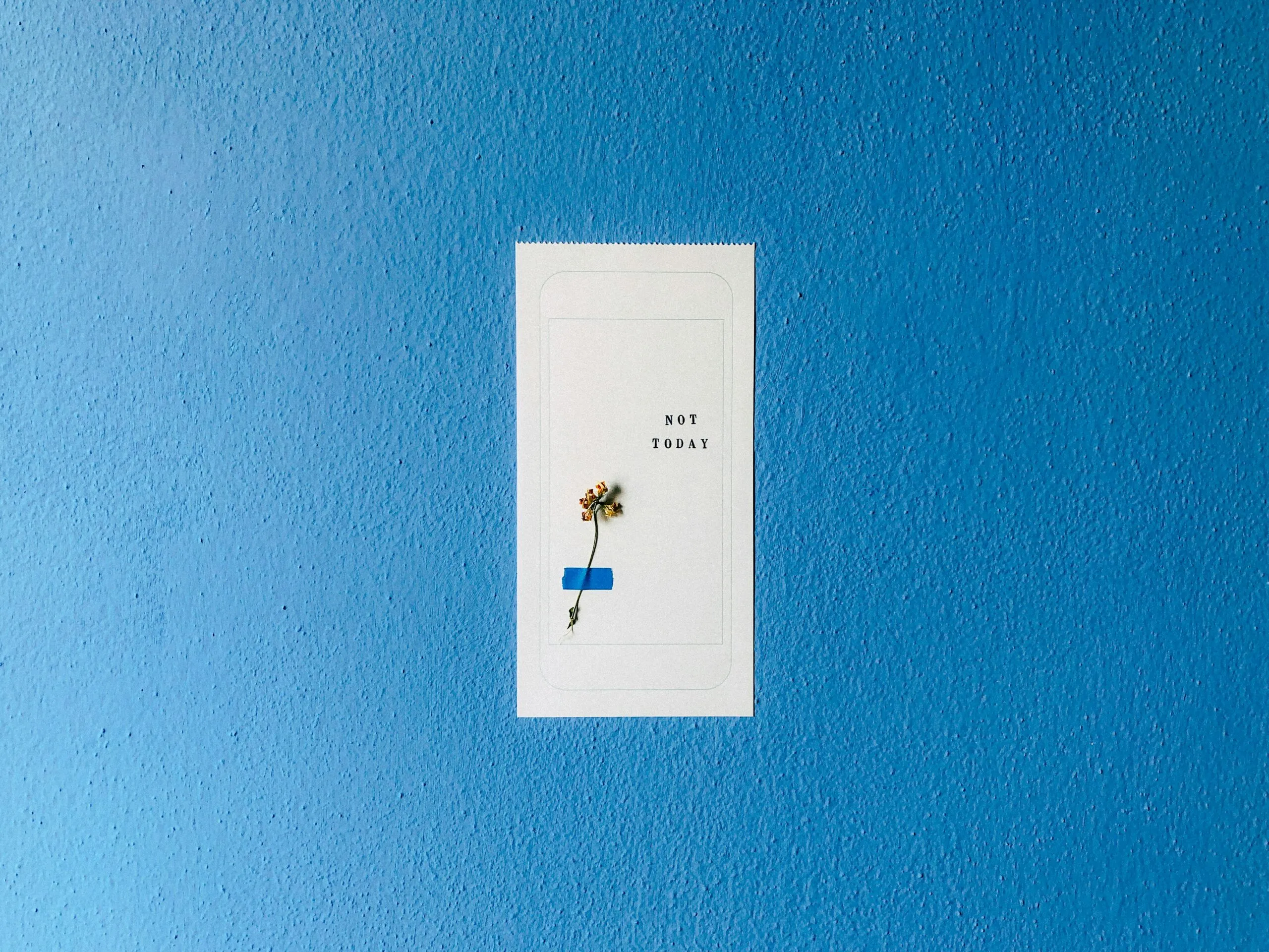white and blue floral card