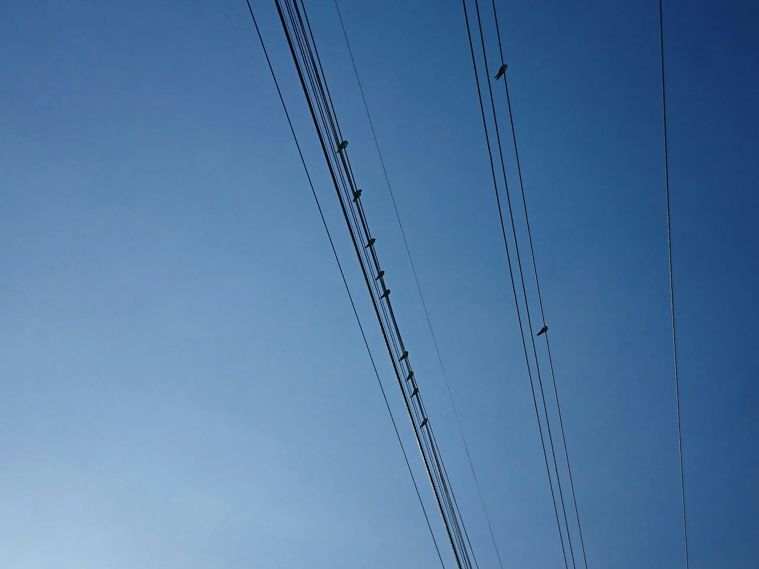 a group of power lines against a blue sky