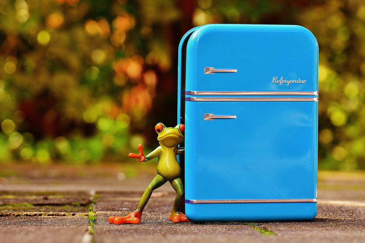 frog, refrigerator, blue, figure, fun, frogs, cute, refrigerator, refrigerator, refrigerator, refrigerator, refrigerator