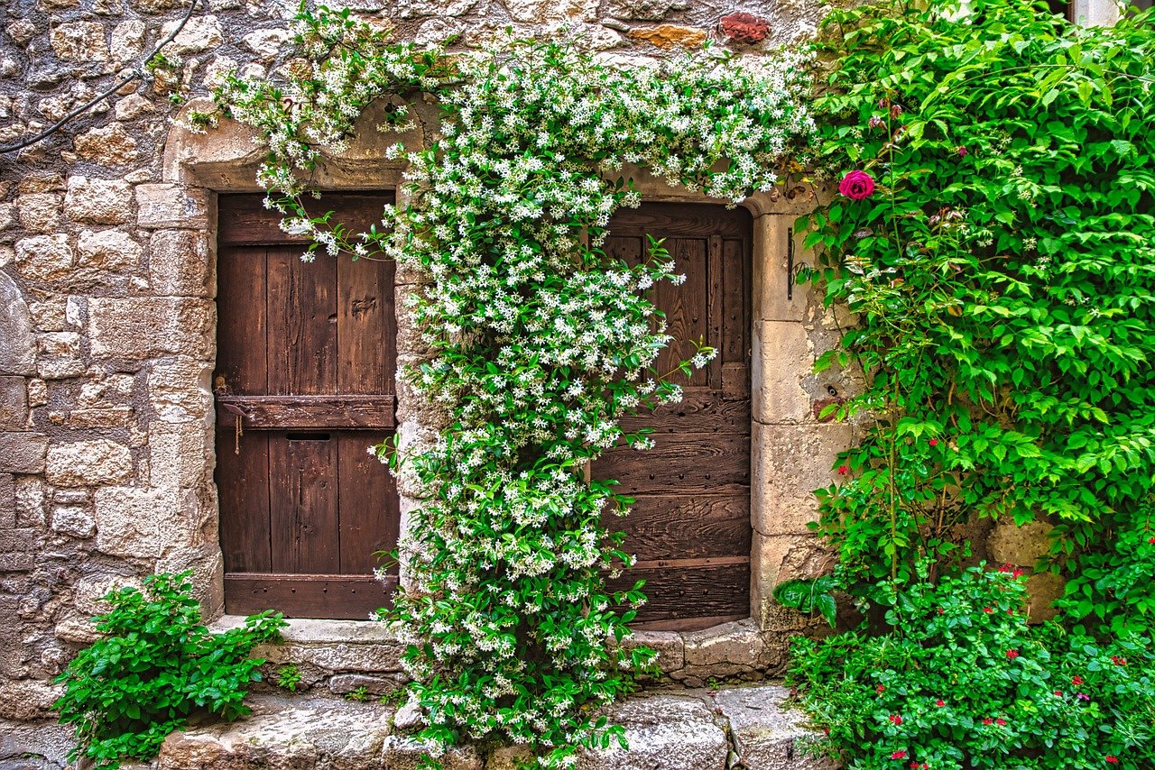 door, plants, vines, lock, pierre, entry, arched, facade, steps, medieval, nature, wall