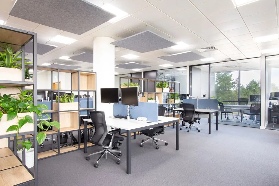Bright and modern open office with plants, chairs, and large windows.