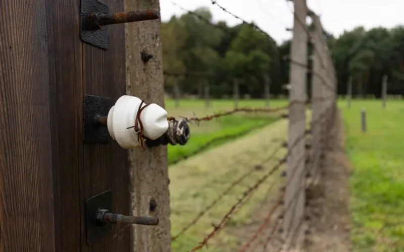 Close-up shot of an insulator on a barbed wire fence with wooden post in a green field.
