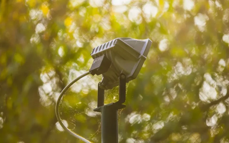 Close-up of an outdoor spotlight surrounded by blurred autumn leaves, highlighting textures and natural light.