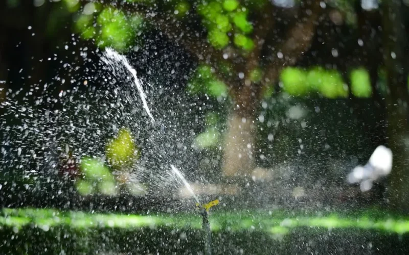 Close-up of a garden sprinkler watering a lush green lawn with sunlight creating sparkling water droplets.