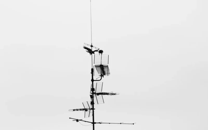 Monochrome image of a television antenna with a bird perched, emphasizing minimalism.