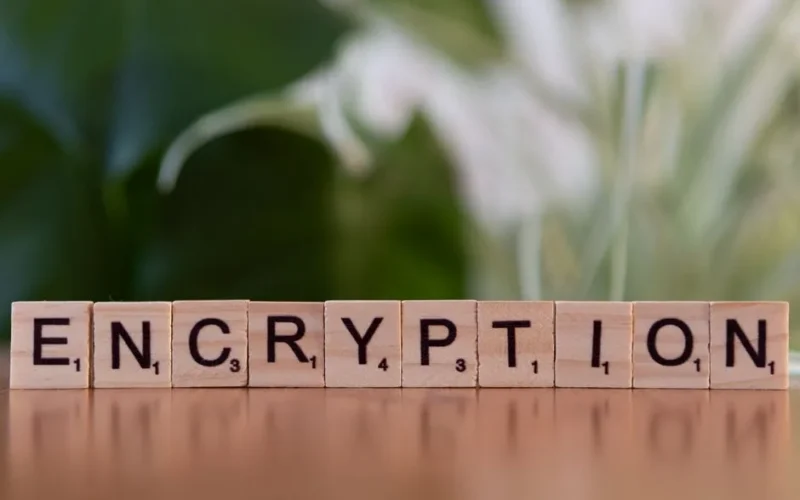 Close-up of wooden blocks spelling 'encryption', symbolizing data security and digital protection.